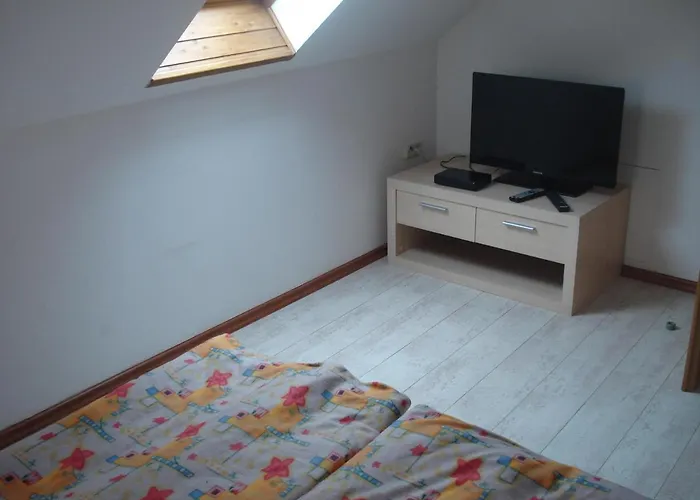 Ferienwohnung Auris